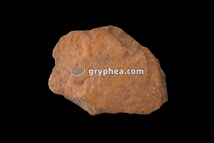 Minerai de fer (13 cm) - gryphea.com